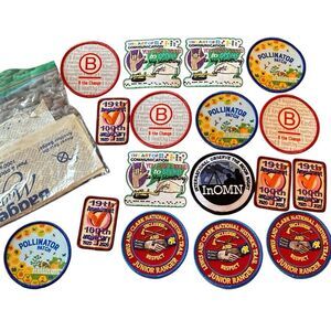 Bundle lot of Girl Scout GSUSA new patches scouting badges patch